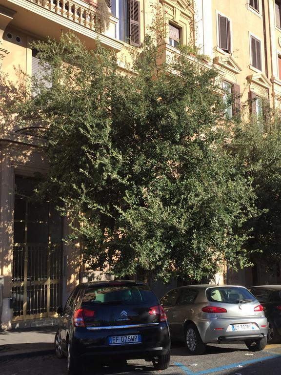 רומא Vatican Accommodations מראה חיצוני תמונה